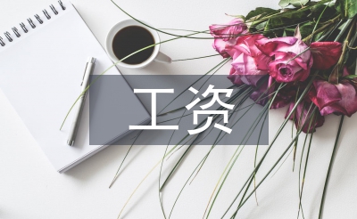 轉(zhuǎn)正工資總結(jié)