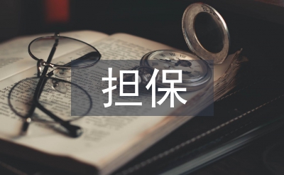 擔(dān)保合同