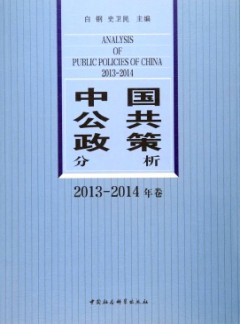 中國(guó)公共政策分析