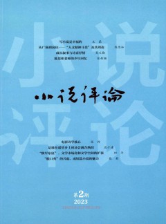 小說評(píng)論