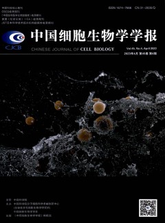 細(xì)胞生物學(xué)雜志