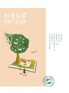 北京文學(xué)·中篇小說(shuō)月報(bào)雜志