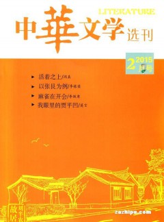 中華文學(xué)選刊