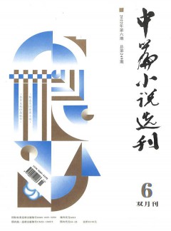 中篇小說選刊雜志