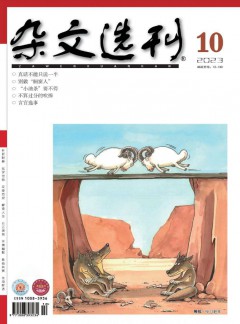 雜文選刊