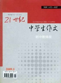 21世紀(jì)中學(xué)生作文·初中教師適用