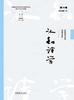 認(rèn)知詩(shī)學(xué)雜志